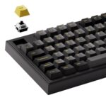 KEYBOARD WRL 5098B/BLACK/GOLD 6925758631921 AKKO