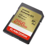 MEMORY SDXC 256GB UHS-I/SDSDXGN-256G-GNCIN SANDISK