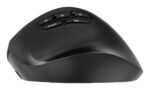 MOUSE USB OPTICAL WRL/MUSW3-9B-01 GEMBIRD