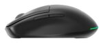 MOUSE USB OPTICAL WRL/MUSW2-6B-01 GEMBIRD