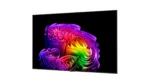 LG OLED65G61LW 65″ (164 cm) 4K OLED evo Gallery Smart TV LG