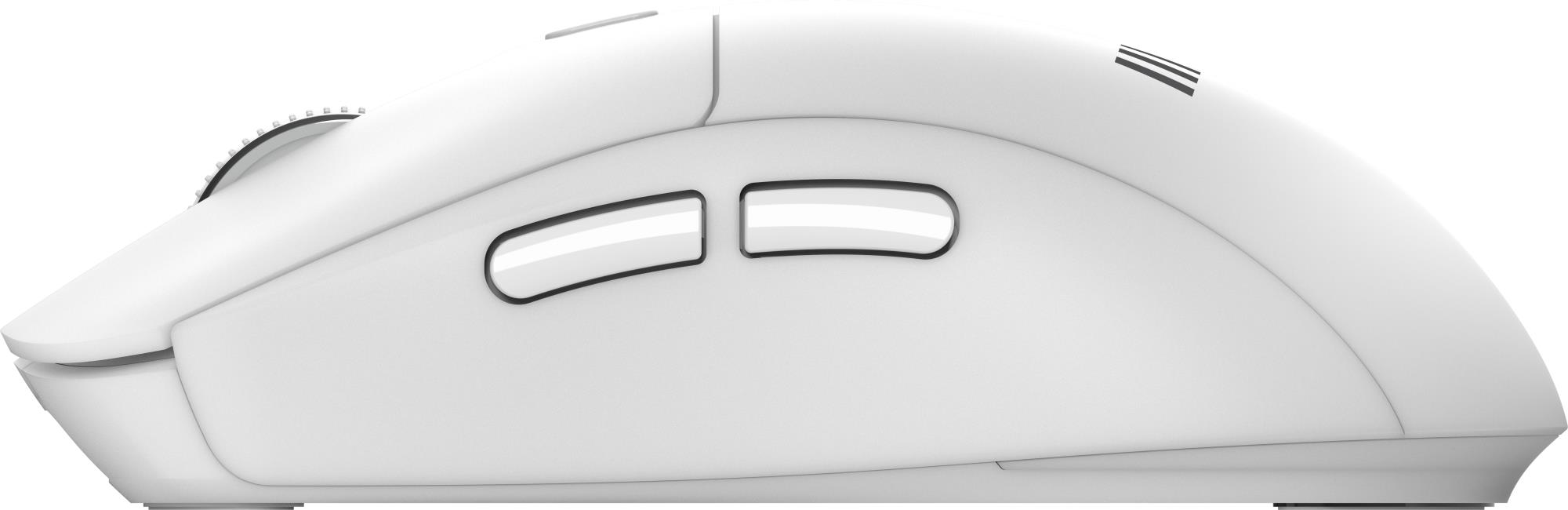 a49adaeb-c51a-40d9-b675-92f942d4f76c KEYBOARD +MOUSE/FORGE K210 W COMBO WHITE MSI