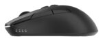 MOUSE USB OPTICAL WRL/MUSW2-7B-01 GEMBIRD