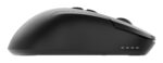 MOUSE USB OPTICAL WRL/MUSW2-7B-01 GEMBIRD