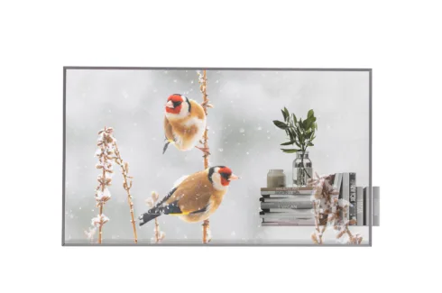 LG 55″ Transpared OLED 55EW5P with One:Quick dongle included   LG