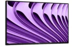 Dell LCD P2426HE 24″ IPS FHD/1920×1080/HDMI,DP,USB,USB-C,RJ45/No Stand/Black