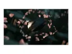 Razer Orochi V2 Gaming Mouse Black 2.4 GHz, Bluetooth