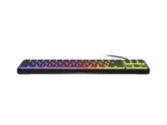 Genesis Thor 430 TKL Gaming Keyboard Wired US Linear Black