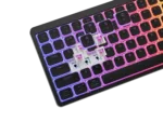 Genesis Thor 430 TKL Gaming Keyboard Wireless Bluetooth US Linear Black