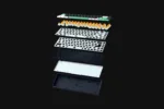 Razer Reclusa X Mini 65% Mechanical Gaming Keyboard Wired US Razer Mechanical Switches Gen-3 (Tactile) Black