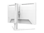 Philips Evnia 24M2N3201P/00 24 ” Fast IPS FHD 16:9 260 Hz 1 ms 1920 x 1080 pixels 300 cd/m² HDMI ports quantity 1 White
