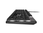Natec Amberjack Keyboard Wired US Linear White backlight, Hot-swappable switches, Anti-ghosting, Built-in memory, Macro recording Black/Gray