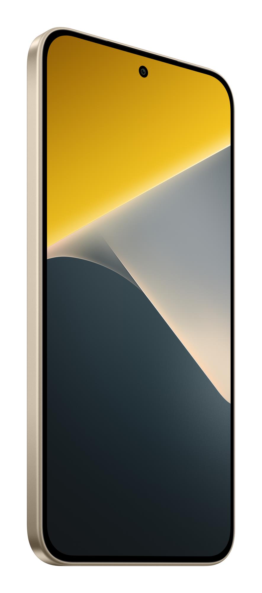 eb2ae628-5098-4864-9ad8-9728ba9410f5 MOBILE PHONE POCO X8/8/256GB ORANGE MZB0P6JEU POCO