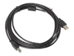 LANBERG CA-USBA-11CC-0030-BK cable USB 2.0 AM-BM with ferrite 3m black