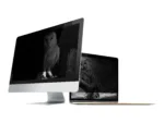 NATEC NFP-1474 Privacy Filter RODO OWL 14inch 16:9