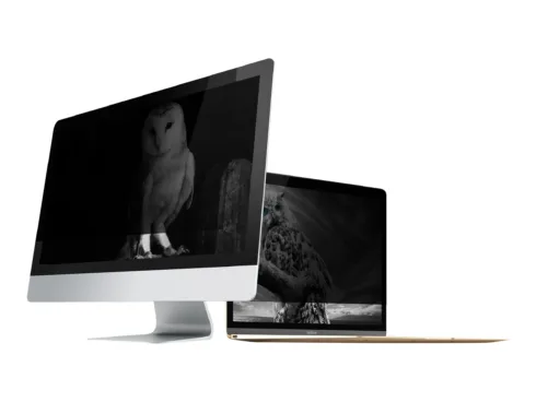 NATEC NFP-1474 Privacy Filter RODO OWL 14inch 16:9