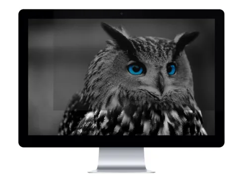 NATEC NFP-1478 Privacy Filter RODO OWL 24inch 16:9