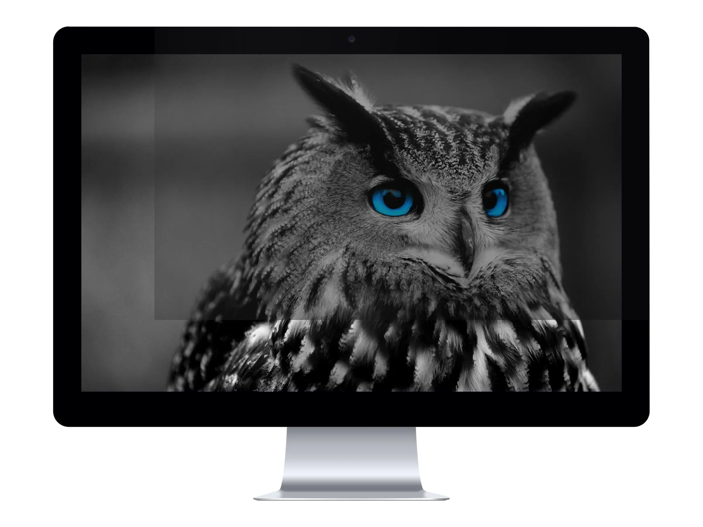 also-nfp-1478 NATEC NFP-1478 Privacy Filter RODO OWL 24inch 16:9