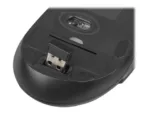 NATEC NZB-1440 Set 2in1 STINGRAY Wirelesss Keyboard+Mouse US Layout