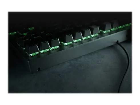 RAZER BlackWidow V3 keyboard Tenkeyless Yellow Switch – US Layout