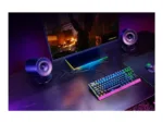 RAZER Nommo V2 X Speakers 2.0