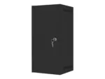 LANBERG Rack cabinet 10inch wall mount 12U 280×310 black with metal door flat pack