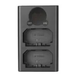 NEEWER DL-FZ100 Dual Battery Charger for NP-FZ100-S Batteries
