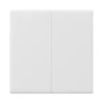 Smart WiFi Touch Wall Switch Sonoff TX T5 2C (2-channel)