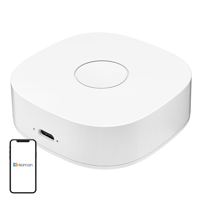 inp-ws2gw-r-smart-home-ws2gw-r-wifi-0.webp Smart home WS2GW-R WiFi
