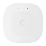 MOES ZHUB-C ZigBee/Ethernet Gateway
