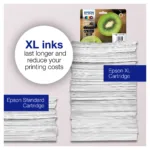 Rašalo kasetė Epson Kiwi 202XL (C13T02G14010), vaizdas 4