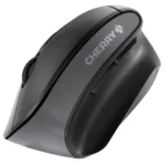 CHERRY MW 4500 mouse