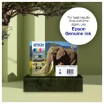 Epson Elephant C13T24384011 ink cartridge