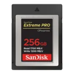 SanDisk SDCFE-256G-GN4NN memory card