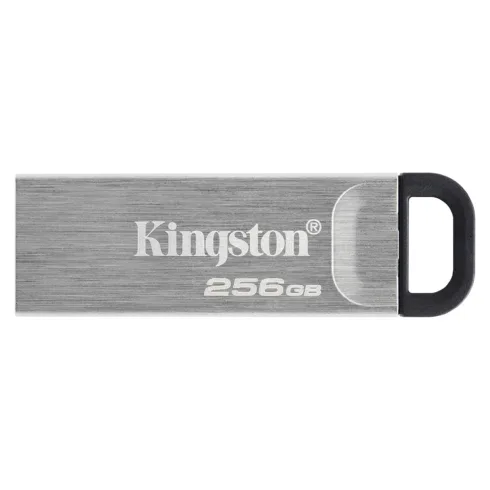 USB atmintinė Kingston Technology DataTraveler Kyson (DTKN/256GB)