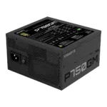 GIGABYTE P750GM power supply unit