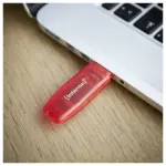 USB atmintinė Intenso Rainbow Line (3502491), vaizdas 3