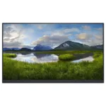 DELL P Series P2422H_WOST computer monitor