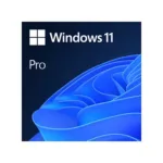 Microsoft Windows 11 Pro