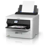Epson T01D300 ink cartridge