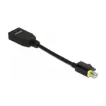Vaizdo adapteris DeLOCK 65978