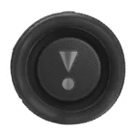 JBL Flip 6
