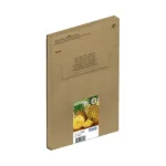 Epson 604XL EasyMail ink cartridge