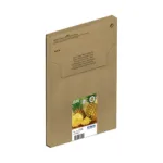 Rašalo kasetė Epson 604 EasyMail (C13T10G64510)