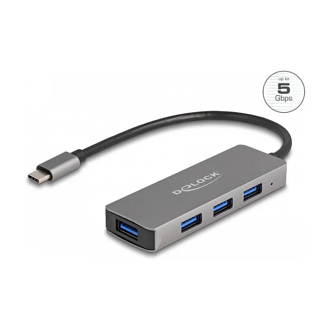 DeLOCK 63173 interface hub Šakotuvas DeLOCK 63173