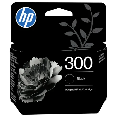 Rašalo kasetė HP 300 (CC640EE#UUS), juodos spalvos