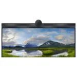 DELL P2424HEB