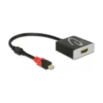 Vaizdo adapteris DeLOCK 65302