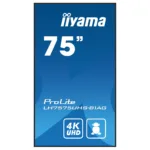 Monitorius IIYAMA 189.3cm(75") LH7575UHS-B1AG 16:9 3xHDMI+DP+2xUSB IPS retail (Speditionsversand), vaizdas 3