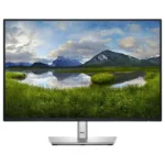 DELL Pro Plus P2425E computer monitor